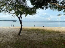 Blk 578 Pasir Ris Street 53 (Pasir Ris), HDB 5 Rooms #560433511